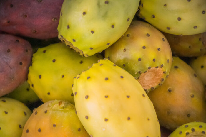 Pack "Trilogie Figue de Barbarie" – Image 4