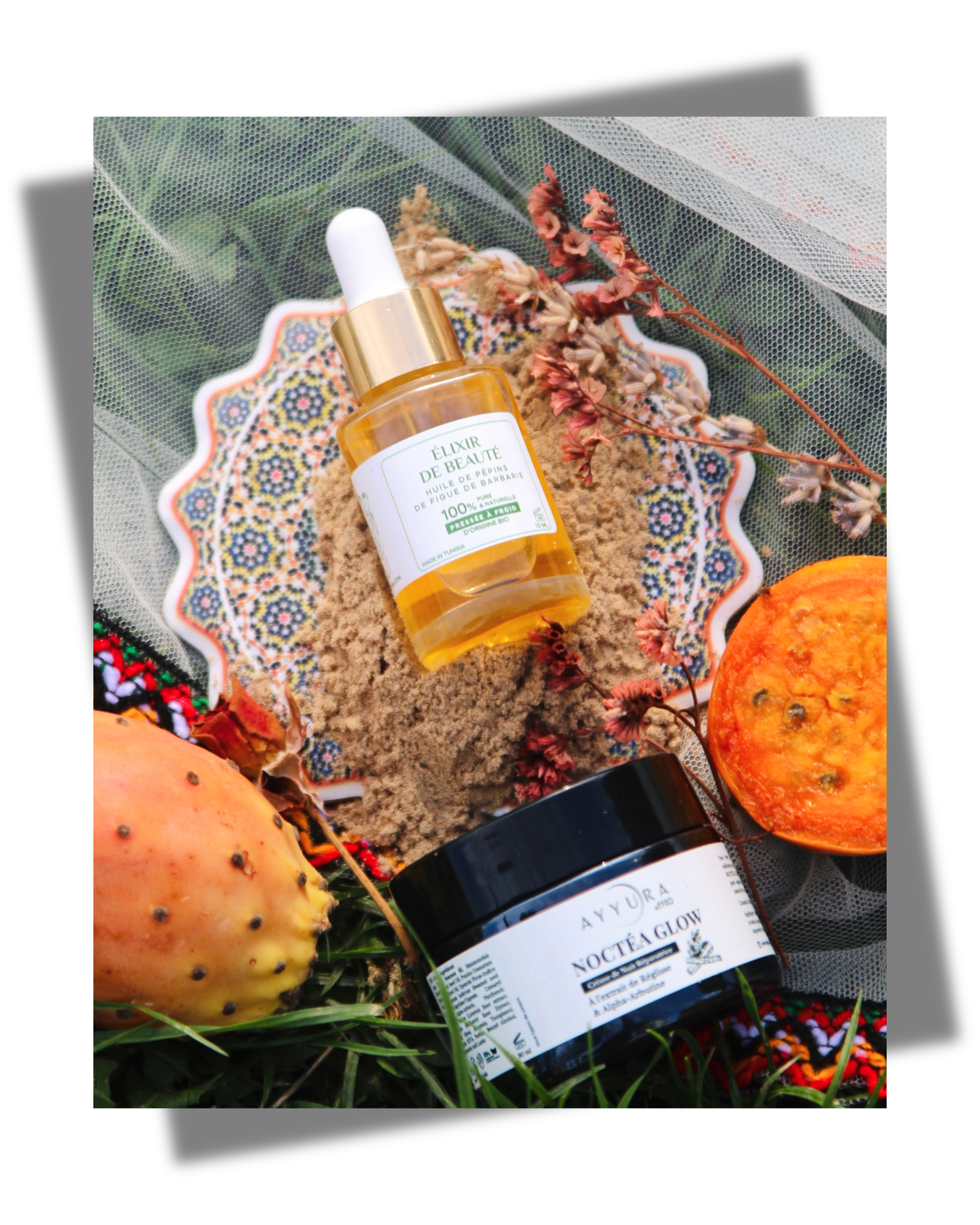 pack_ayyura Pack "Trilogie Figue de Barbarie" – Image 1